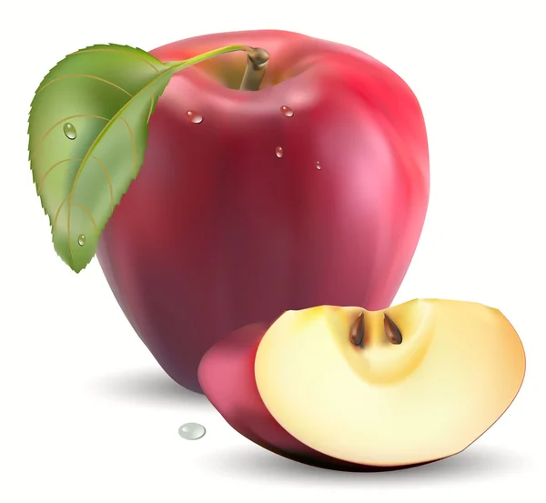 Frischer roter Apfel und Scheiben — Stockvektor