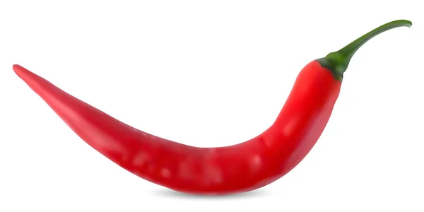 Κόκκινη καυτερή πιπεριά τσίλι διάνυσμα — Διανυσματικό Αρχείο