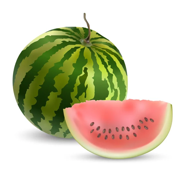 Watermelon — Stock Vector