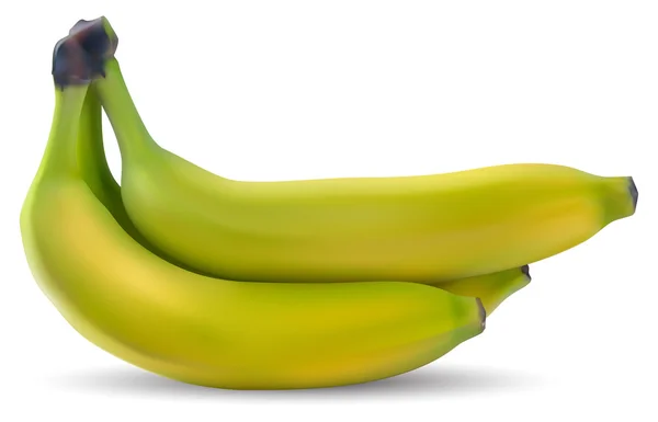 Plátanos maduros — Vector de stock