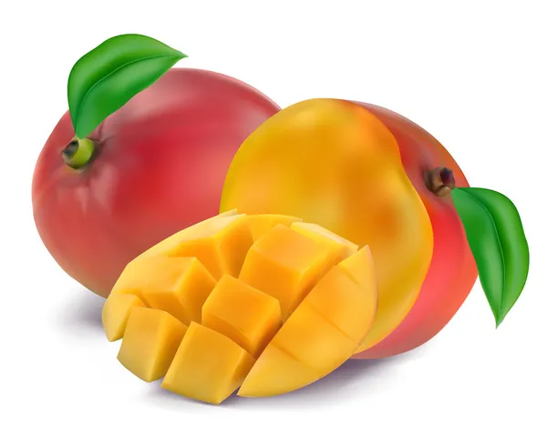 Bölümü ile mango — Stok Vektör