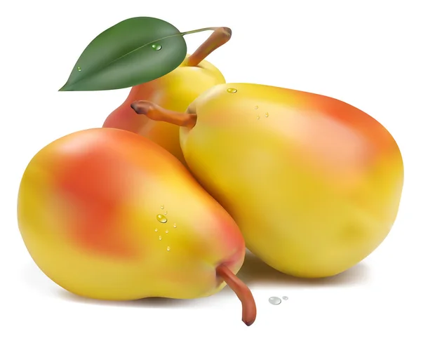 Färska päron med blad — Stock vektor