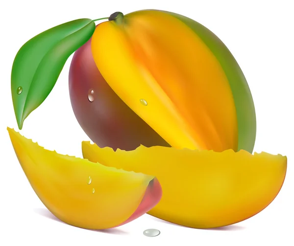 Mango med avsnitt — Stock vektor