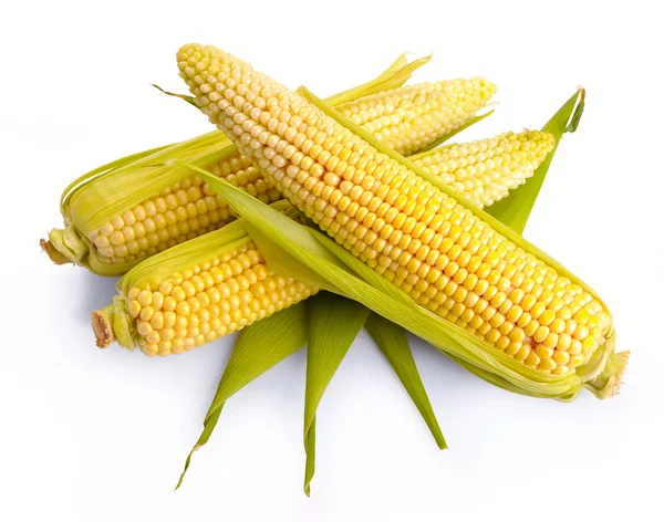 Ovoce čerstvé kukuřice — Stock fotografie