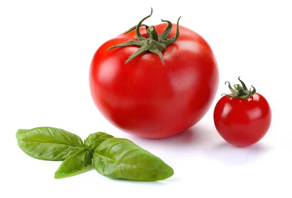 バジルとトマトの葉 — ストック写真
