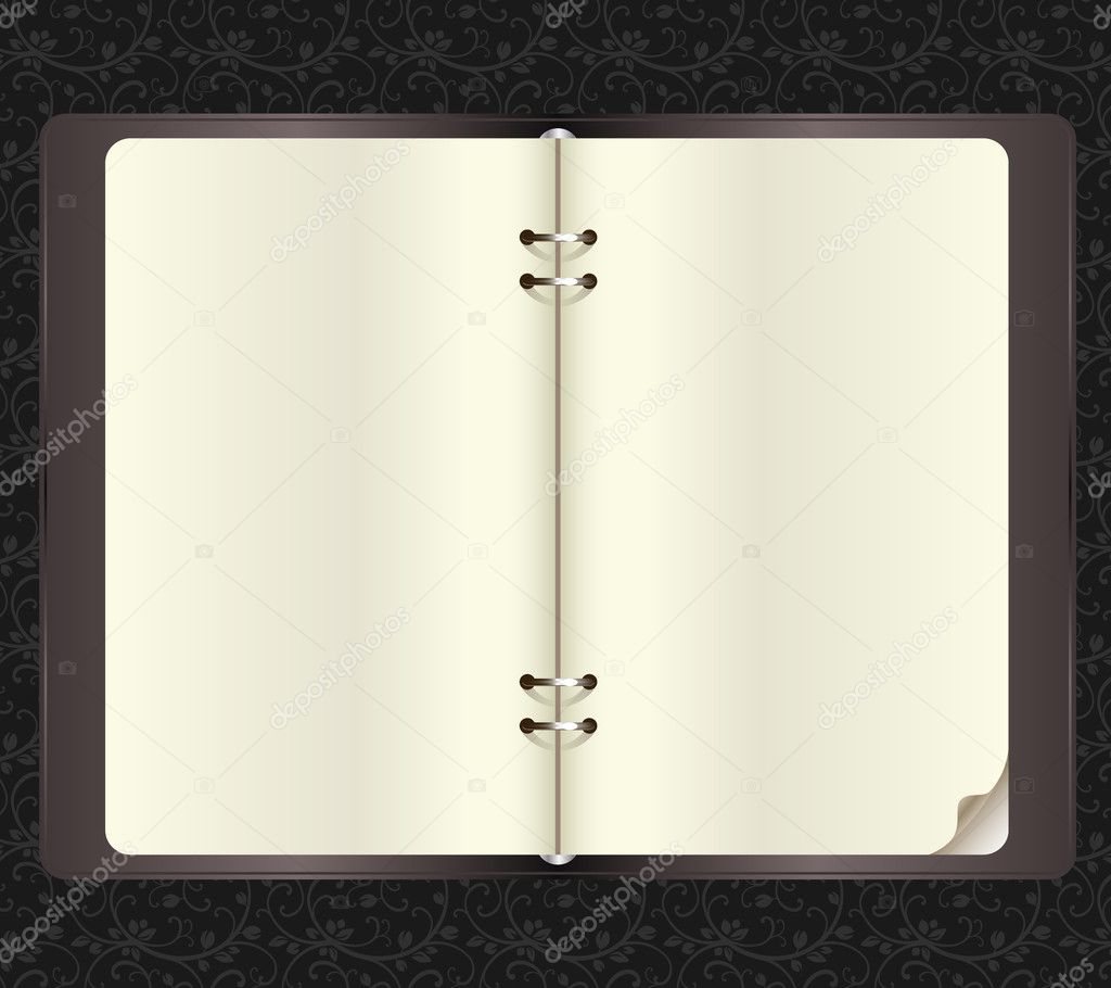 Opened notebook