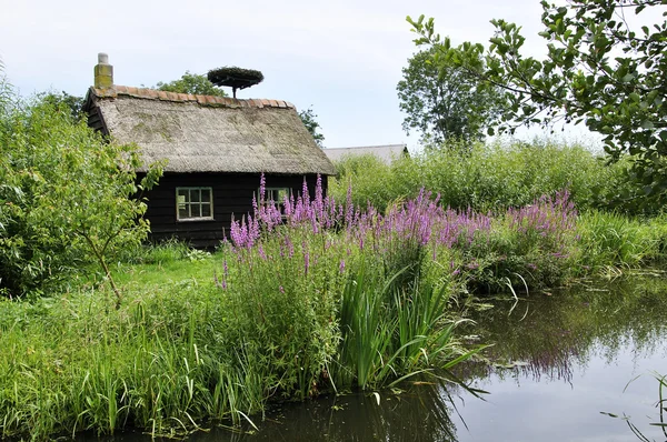 stock image Sprookjes huis