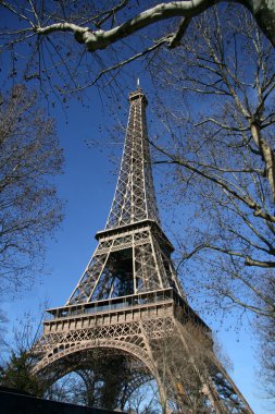 Eiffel tower, hide by tree, in paris clipart