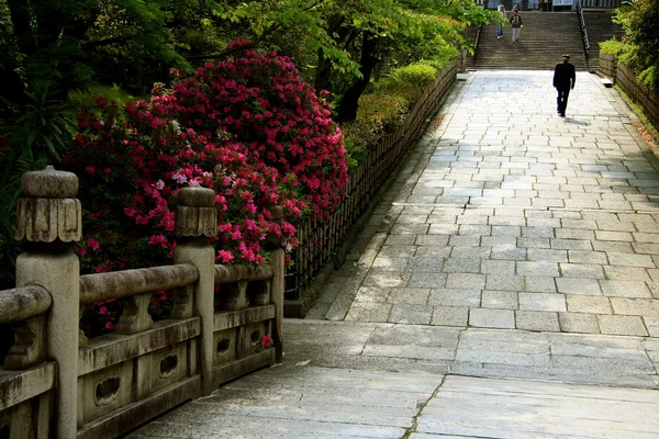 Japanischer Gartenweg — Stockfoto