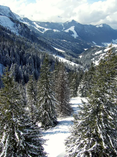 Vallée ensoleillée en montagne de ski Image En Vente