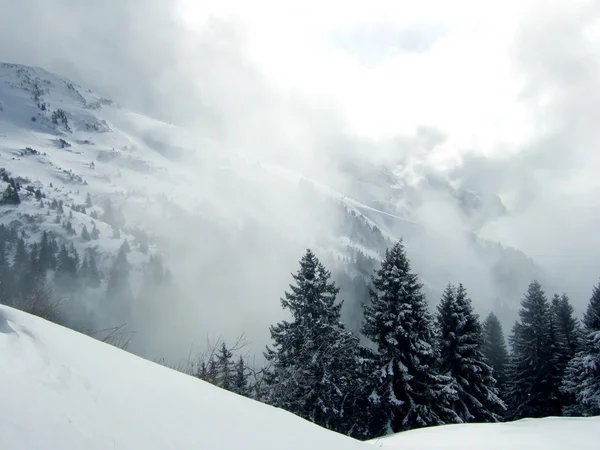 Sonniger Tag auf Skiern bei Nebel Stockbild