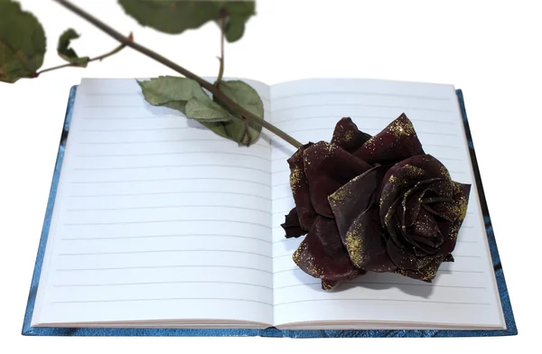 Notebook rose — Stock Photo, Image