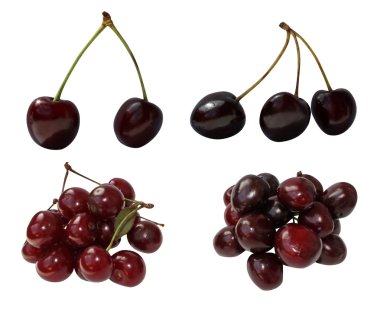 Cherry ,cherries clipart