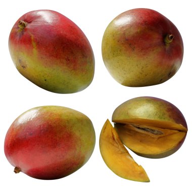 Mango, mangos clipart