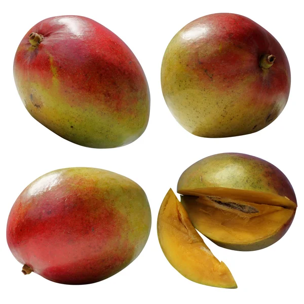 Mango, mango 's — Stockfoto