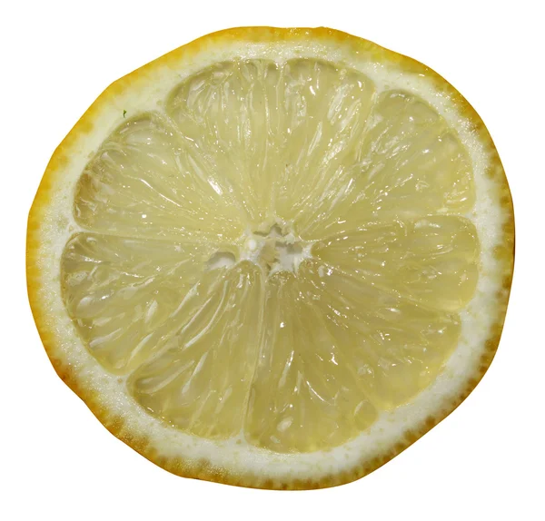 sektör limon