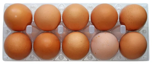 Десять свежих яиц — стоковое фото