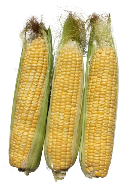 Trzy kukurydzy Zdjęcia Stockowe bez tantiem
