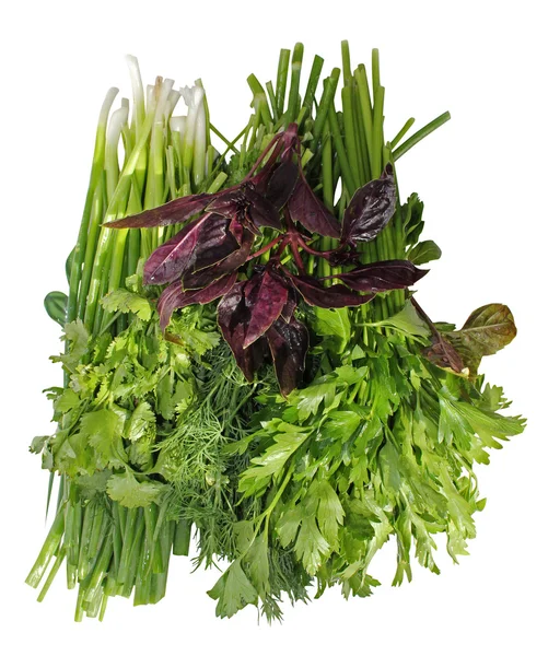 COLLECTION OF AROMATIC HERBS — Stock Photo, Image