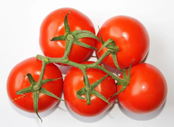 Tomatos — Stok Foto