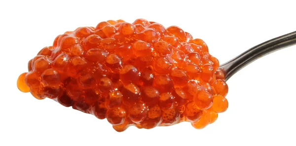 Colher de caviar vermelho — Fotografia de Stock