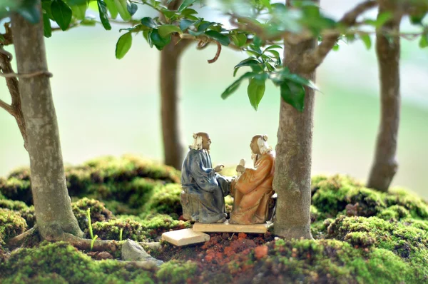 Bonsai-Baum und Mini-Landschaftsbau — Stockfoto