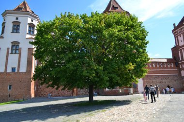 Tree in Mir Castle clipart