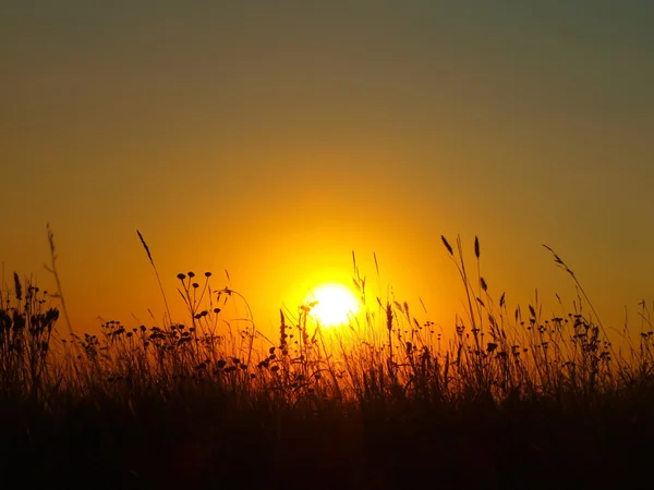 stock image Sunset in steppe.