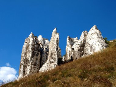 Kretase kayalık oluşumu