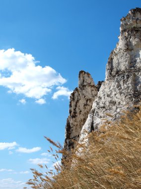 Kretase kayalık oluşumu