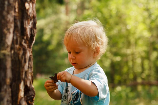 Baby exporing ліс — стокове фото