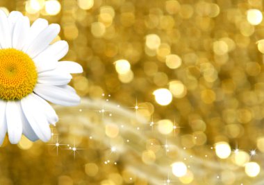 Color background gold and daisy clipart