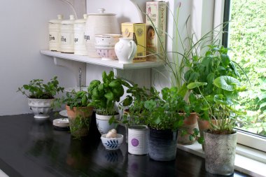 Herbs in the kitchen clipart