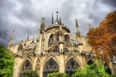 Notre dame de Paris