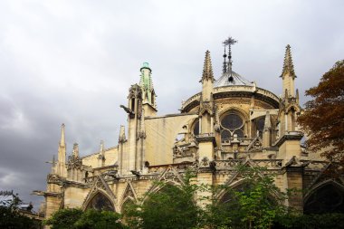 Notre dame de Paris