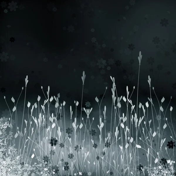 Night meadow — Stock Photo, Image