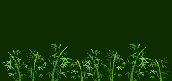 stock image Bamboo