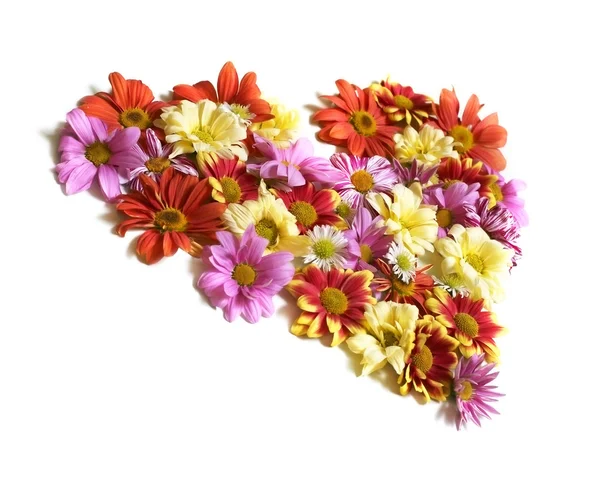 Herz aus Blumen — Stockfoto