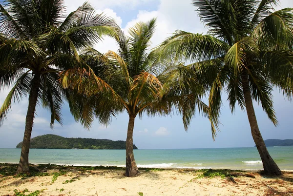 Beach Langkawi — Stockfoto