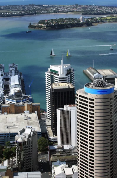 Auckland — Stockfoto