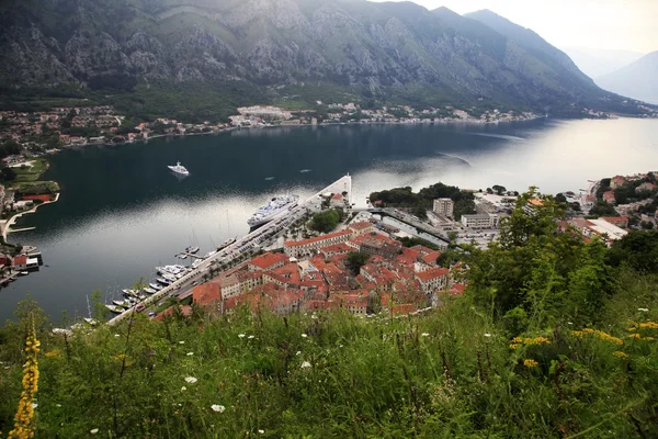 Old town of Kotor — Stock Photo, Image