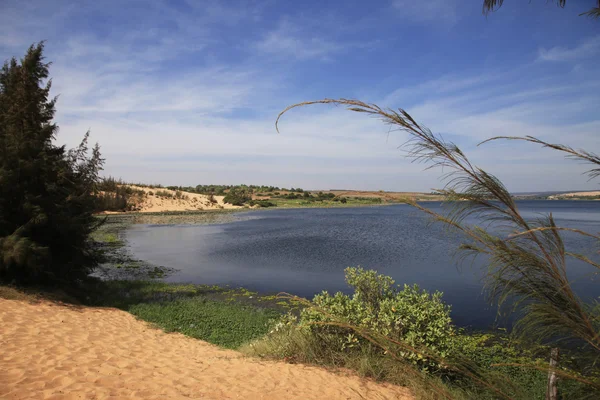 Nilüferler göl — Stok fotoğraf