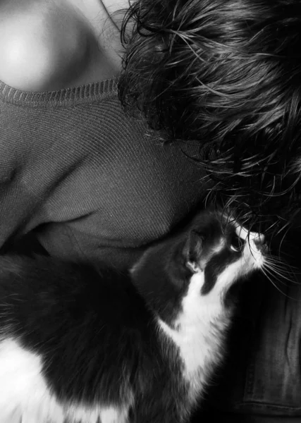 Kedili kız — Stok fotoğraf