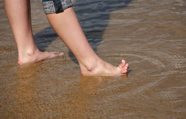 Legs in water Stock Image
