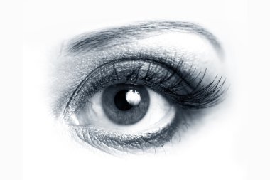 Open eye closeup clipart