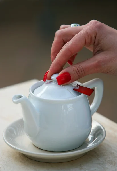Théière de thé blanc — Photo