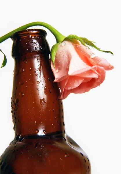 Flaska med blomma — Stockfoto
