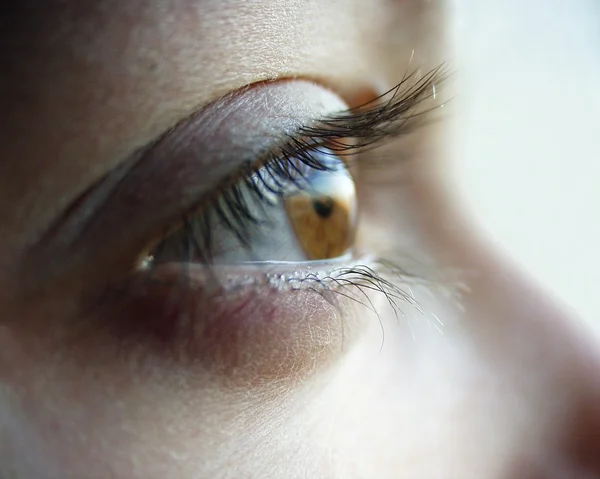 Brązowe oczy — Zdjęcie stockowe