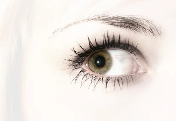 Θηλυκό μάτι — Φωτογραφία Αρχείου