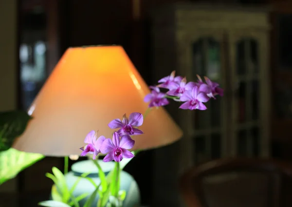 Lampe sur une table de travail — Photo
